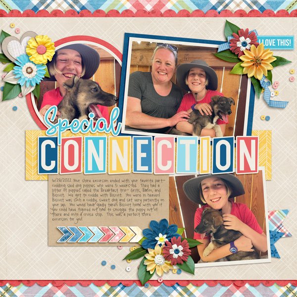 Special Connection