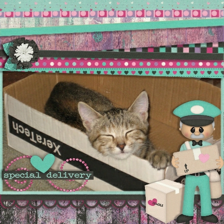 Special Delivery
