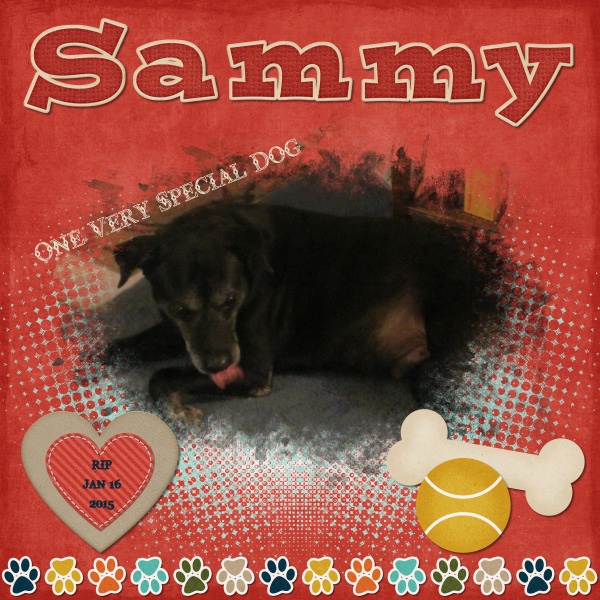 Special Dog
