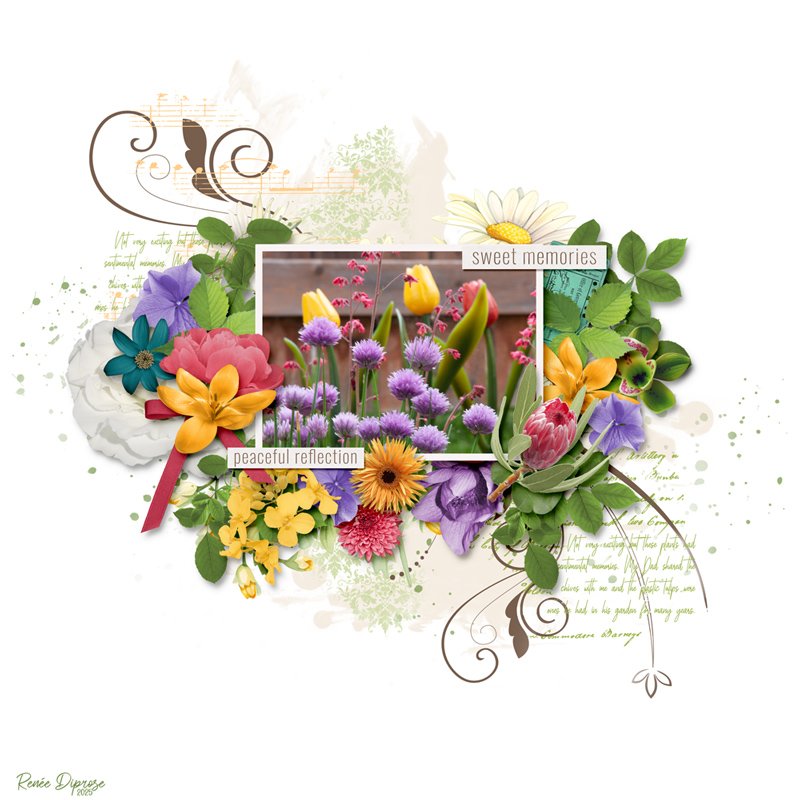 Special Memories of Dad