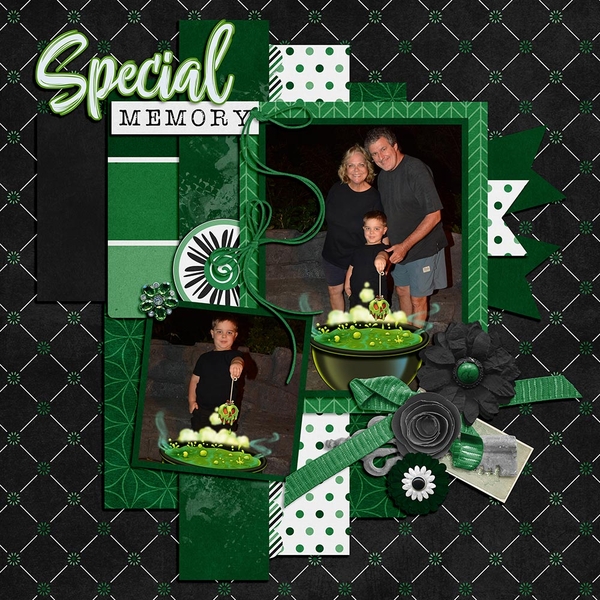 Special Memory