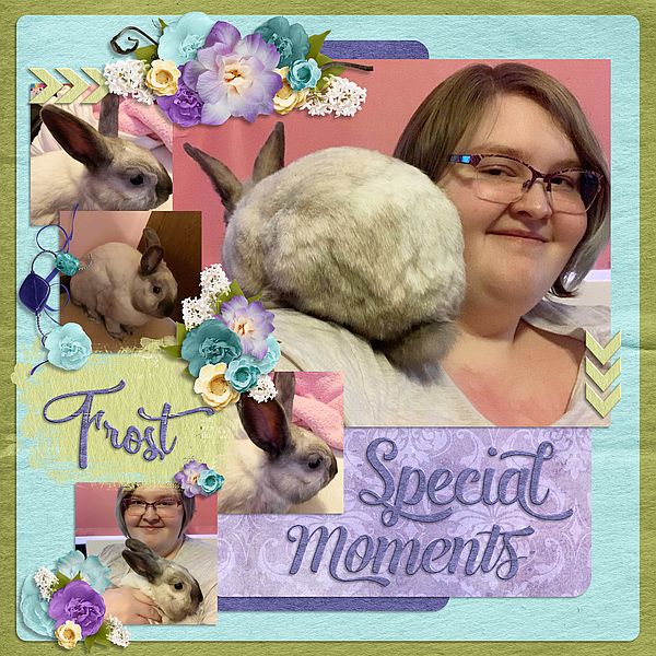 Special Moments