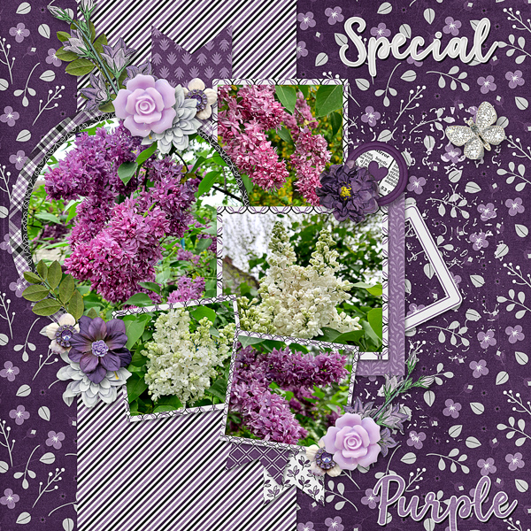 Special Purple