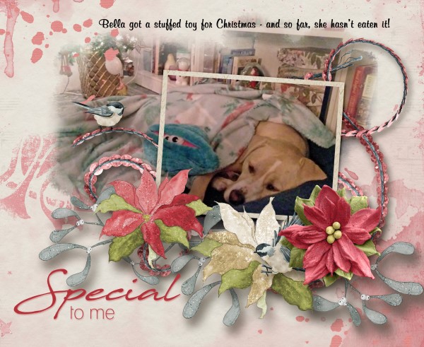 Special to Me