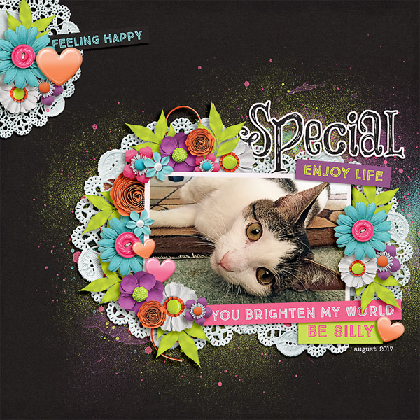 Special