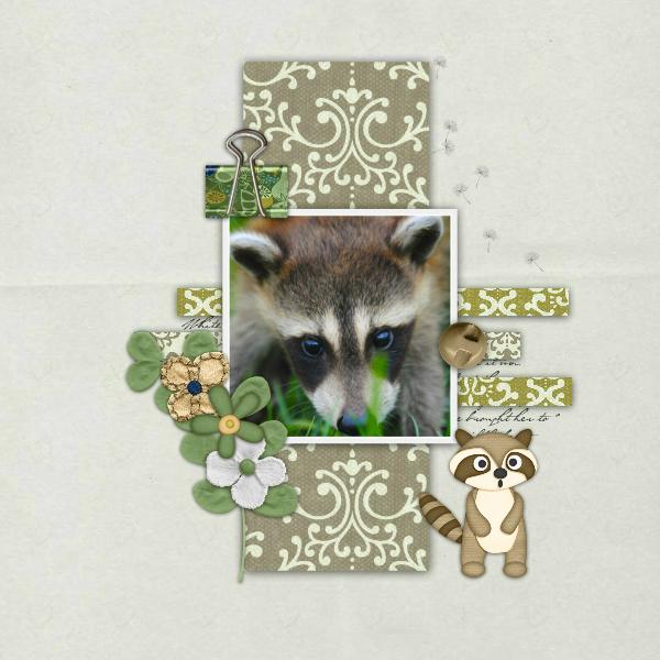 Speed_scrap_hosted_by_SnP