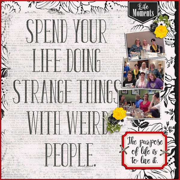 Spend your life doing strange things