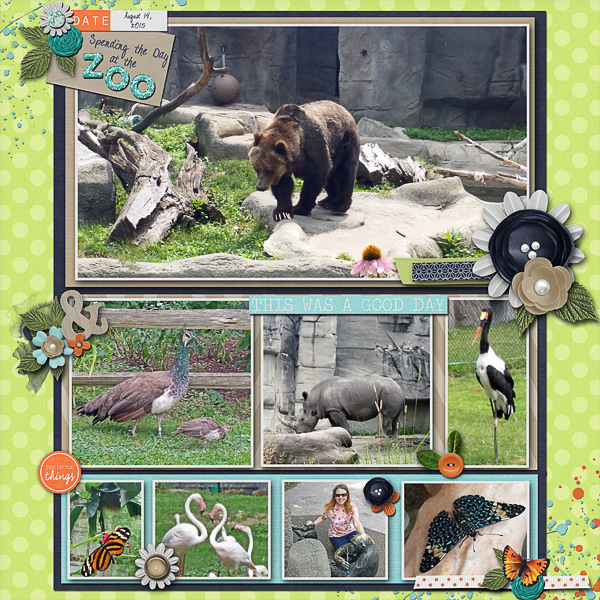 Spending the Day at the Zoo