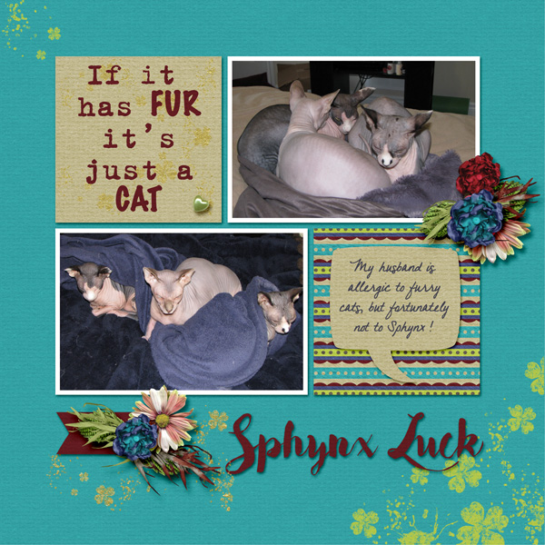 Sphynx Luck