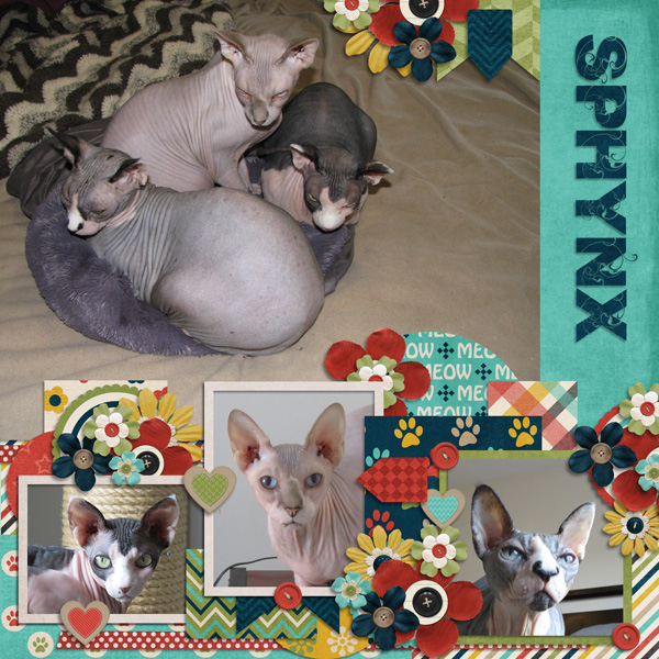 Sphynx