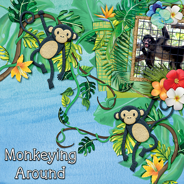 spi-monkey-21