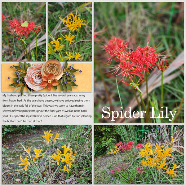 Spider Lilies