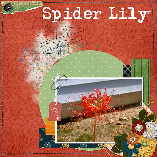 Spider Lily