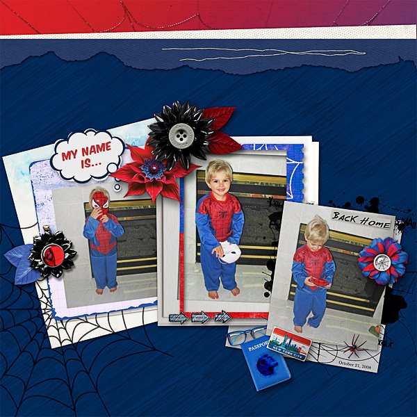 Spider Man Costume