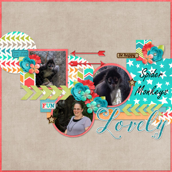 Spider Monkey Exhibit