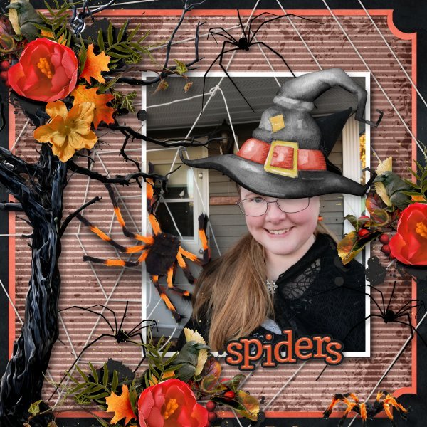 spiders4.jpg