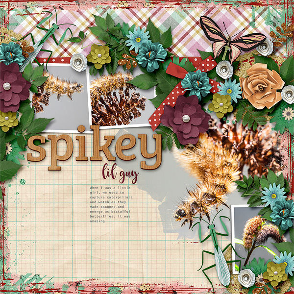 Spikey Lil Guy