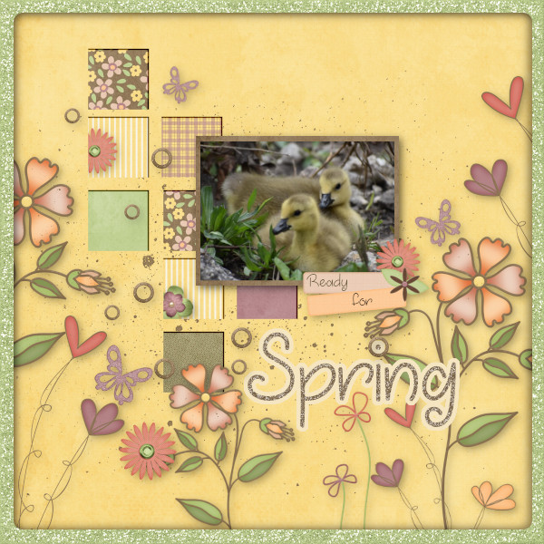 Sping Wilflowers