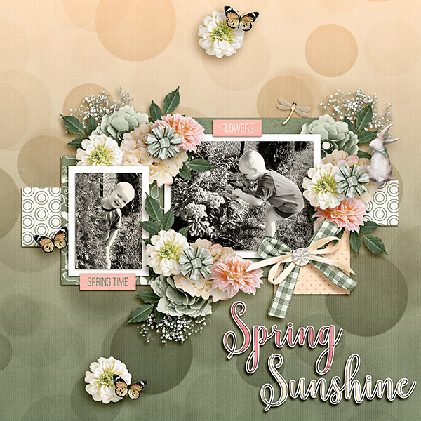 sping_in_bloon_lisa