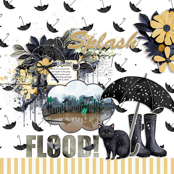 Splash Flood