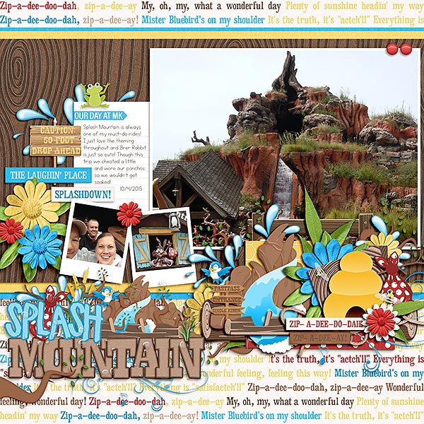 splash mountain