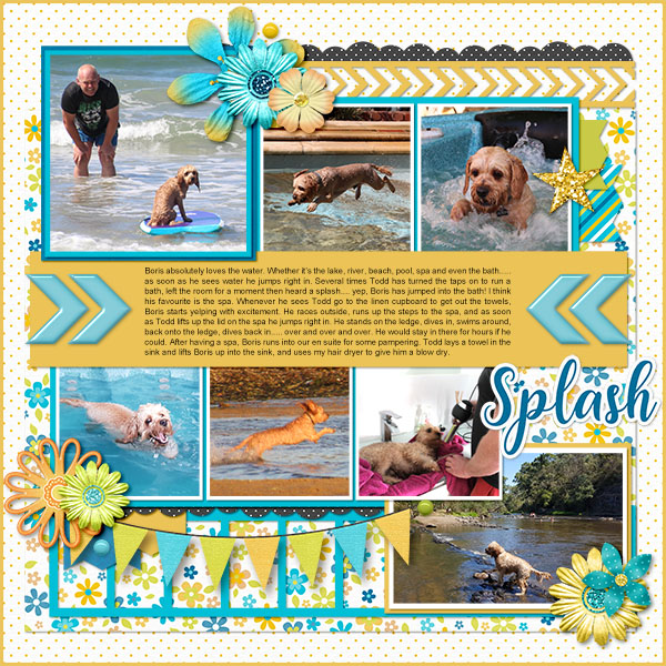 Splash