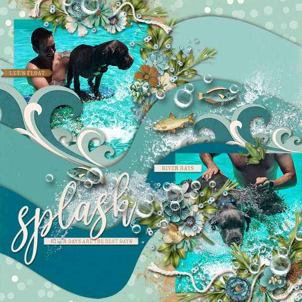 Splash