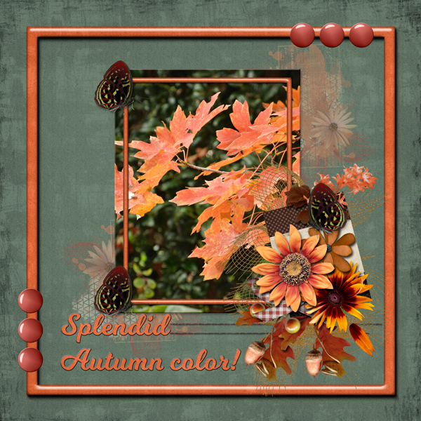 Splendid Autumn color!