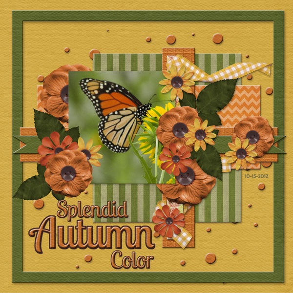 Splendid Autumn Color