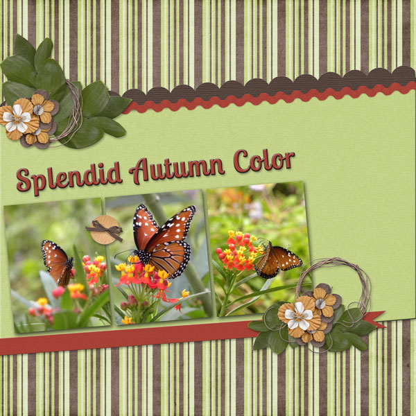 Splendid Autumn Color