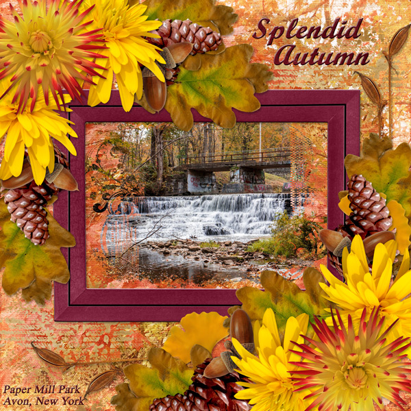 Splendid Autumn