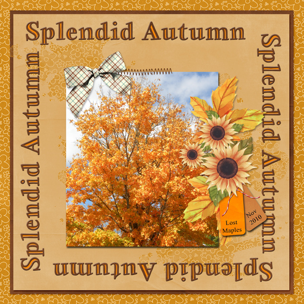 Splendid Autumn