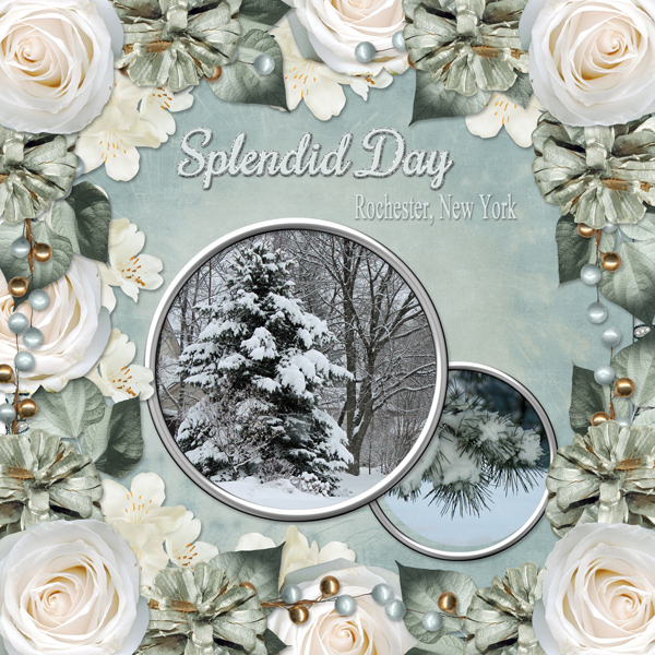 Splendid Day -  Rochester, New York