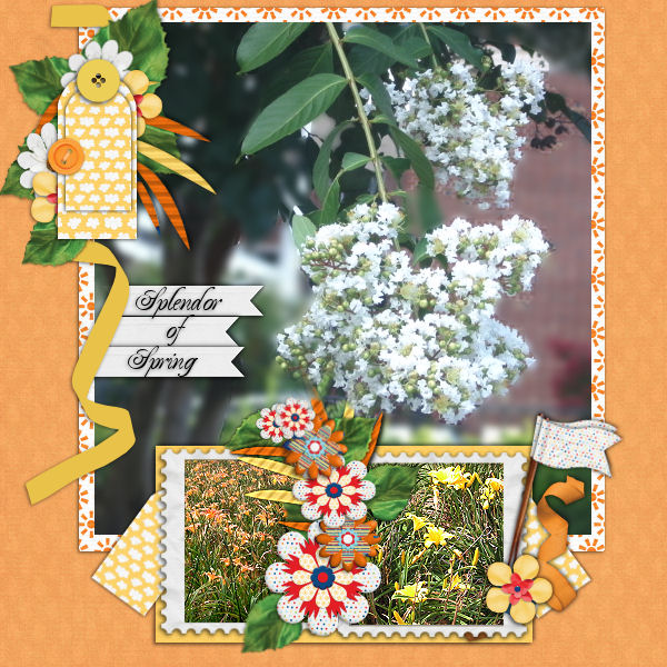 Splendor Of Spring