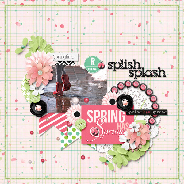 Splish Splash