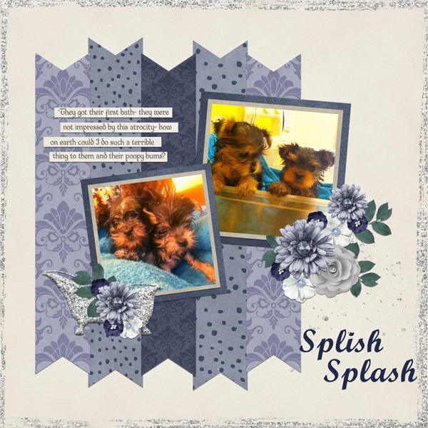 Splish Splash