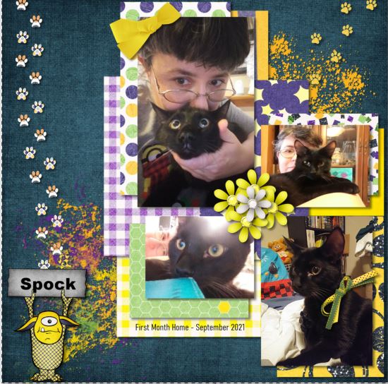 Spock's Home