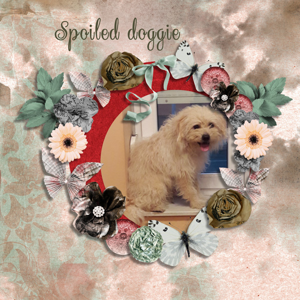 Spoiled dog