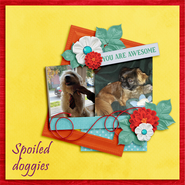 Spoiled doggies