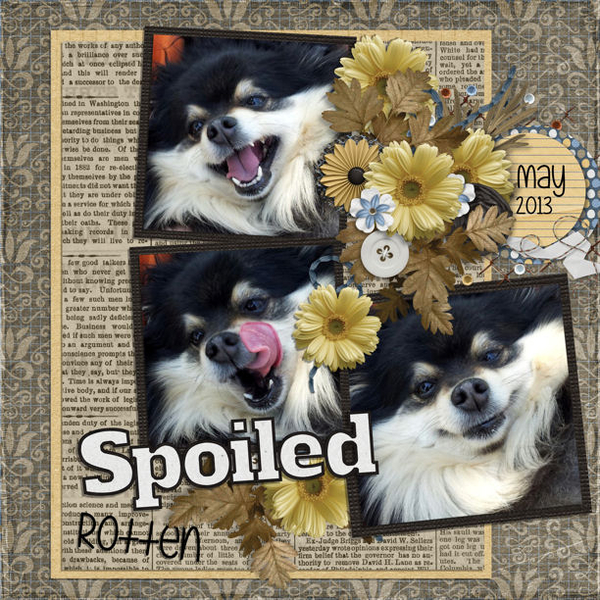 Spoiled Rotten