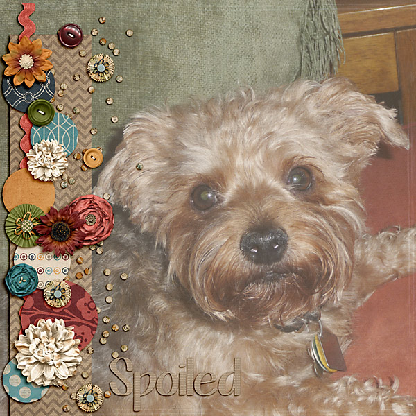 Spoiled