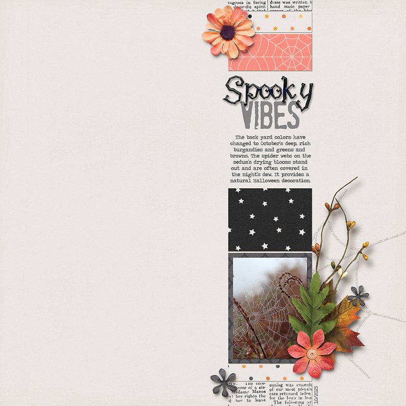Spooky-Vibes.jpg