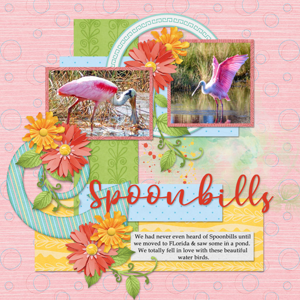 Spoonbills