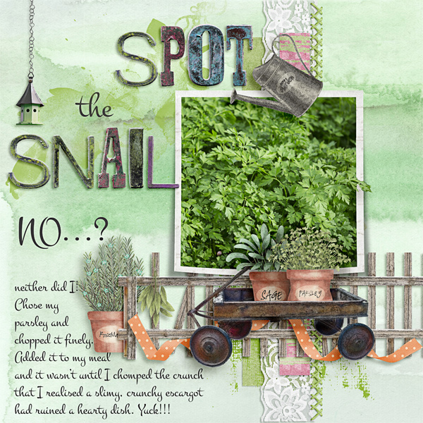 Spot the Snail