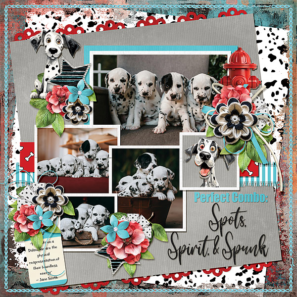 Spots, Spirit, & Spunk