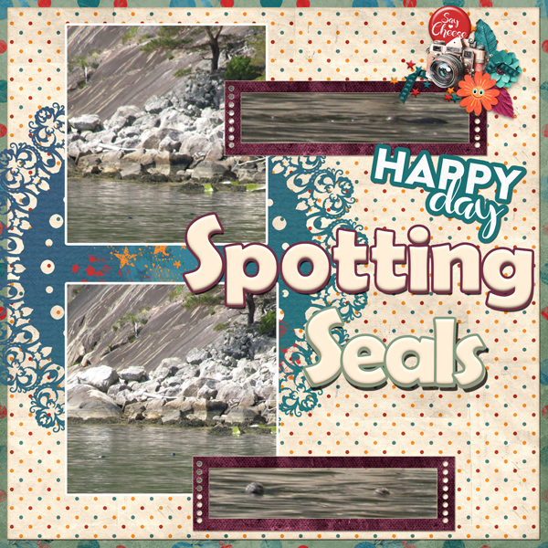 Spotting Seals