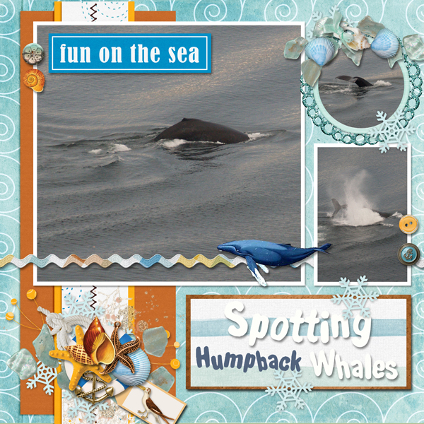 Spotting Whales