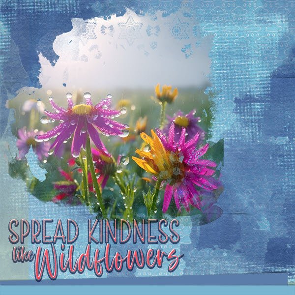 Spread Kindness
