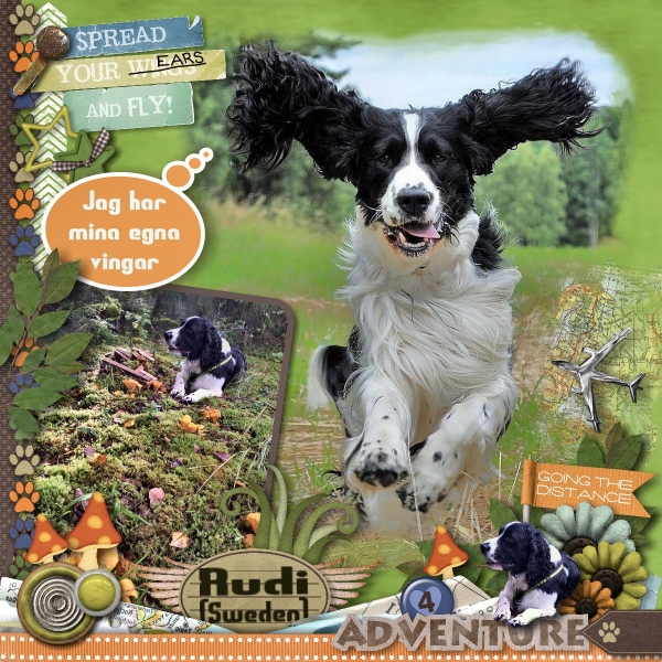 Spread your Ears and Fly
