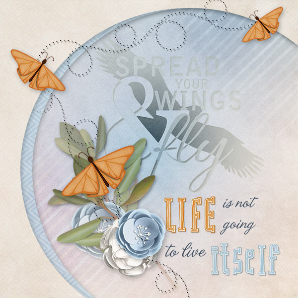 Spread your wings